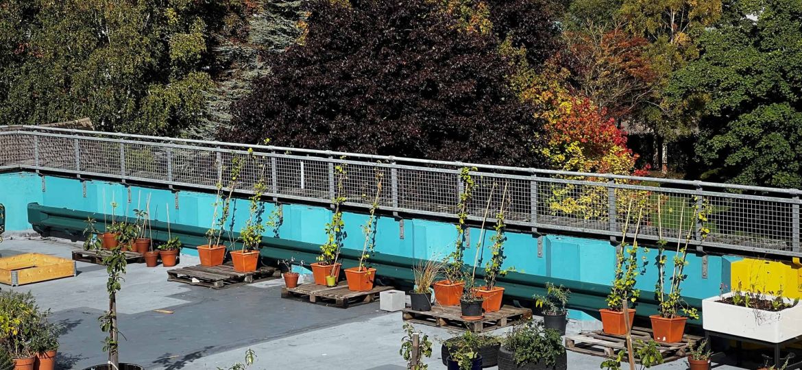 Phonegarden7