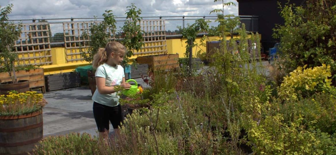A girl waters plants in our rooftop garden with a green plastic watering can.