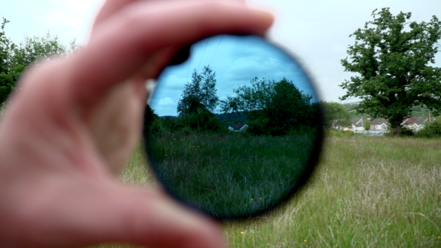 BetweenTheDogAndTheWolf 2019