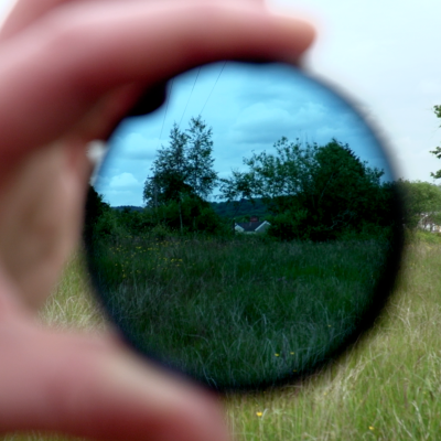 BetweenTheDogAndTheWolf 2019