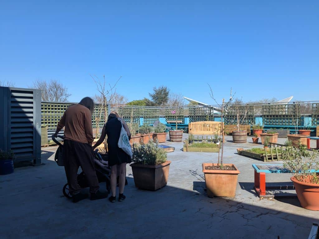 Our rooftop garden on a sunny day with a cloudless bright blue sky. In the foreground are two silhouetted figures leaning down to peer into a pushchair. Several plants in large terracotta pots can be seen. In the background, the white triangular roof of the swimming pool can be seen.